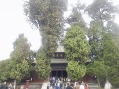 -报恩寺(平武县)