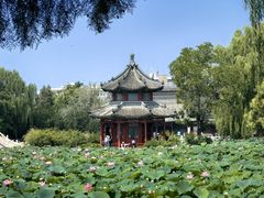 -莲池书院博物馆