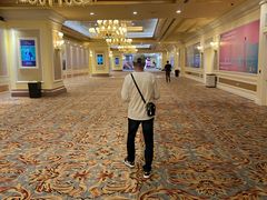 -澳门威尼斯人综合度假区