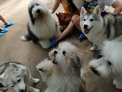 -TrueLove @ Neverland (Husky Cafe)