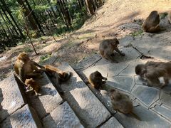 -黔灵山公园