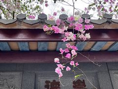 -深圳国际园林花卉博览园