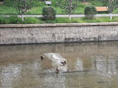 -元大都城垣遗址公园