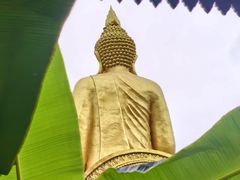 -西双版纳总佛寺