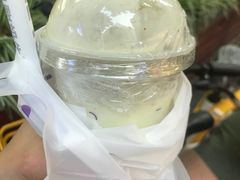 -一只酸奶牛(春熙路店)