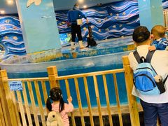 -锦艺城海洋馆