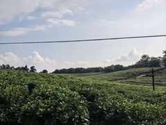 -南京市江宁方山