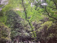 -灵隐飞来峰景区