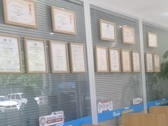 -美迦爱-牙专科·兔科·骨科诊疗中心(北苑店)