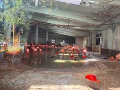 -石家庄市动物园