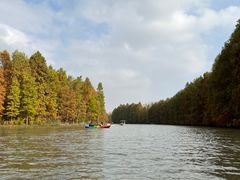 -上海海湾国家森林公园