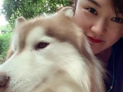 -TrueLove @ Neverland (Husky Cafe)