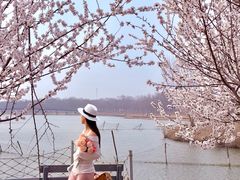 -西青郊野公园