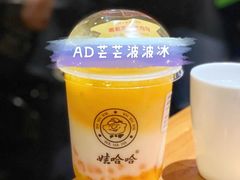 -娃哈哈·奶茶(武林店)