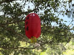 -石台牯牛降景区
