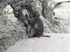 -木兰云雾山