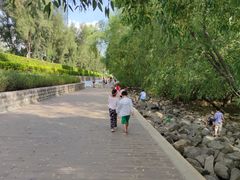 -宝安西湾红树林湿地公园