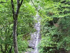 -湖州龙王山景区