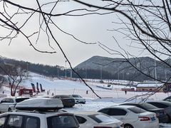 -东北亚滑雪场