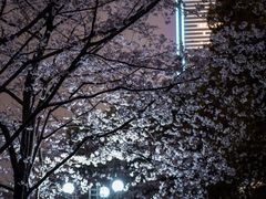 -陆家嘴中心绿地