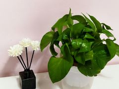 -百谜机械解谜工场