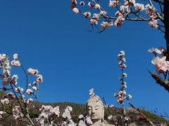 -蒙山大佛景区