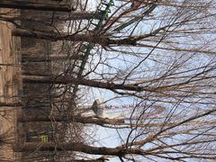 -哈尔滨文化公园