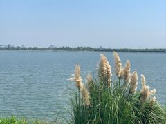 -上海滴水湖皇冠假日酒店