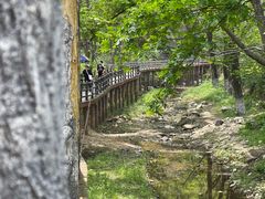 -木兰云雾山