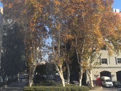 -湖北美术学院(昙华林校区)