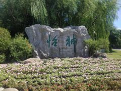 -上海鲜花港