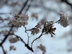 -南浦大桥长途旅游客运站