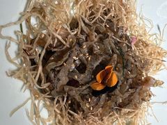 -南拳十三姨·潮汕砂锅粥·粤菜(西单大悦城店)