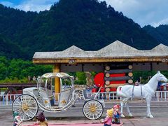 -黎坪国家森林公园