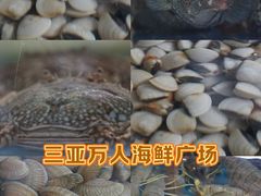 -三亚火车头万人海鲜广场