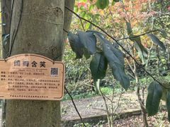-黄公望隐居地