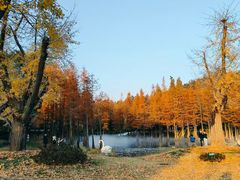 -南京银杏湖乐园