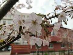 -永乐路-路侧停车场