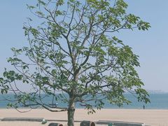 -彩虹沙滩