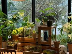-自由生长植物工作室(深港花卉中心店)