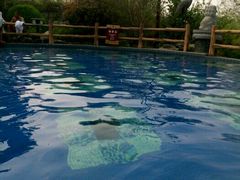-汤峪温泉碧水湾