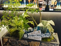 -芸山季·云南野生菌火锅(人民广场来福士店)