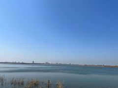 -南汇嘴观海公园