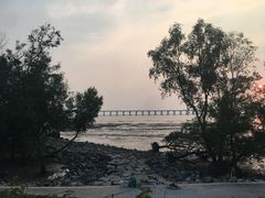 -宝安西湾红树林湿地公园