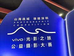 -大剧院(地铁站)