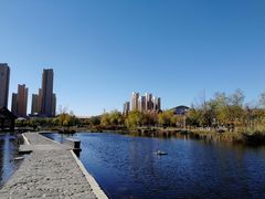 -前关湿地公园