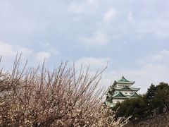 -名古屋城
