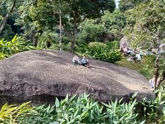 -阳台山森林公园
