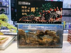 -川骄海鲜自助(河东店)