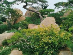 -罗红摄影艺术馆